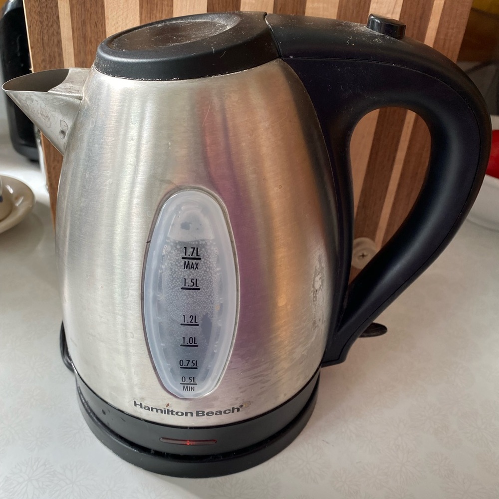 Electric tea kettle